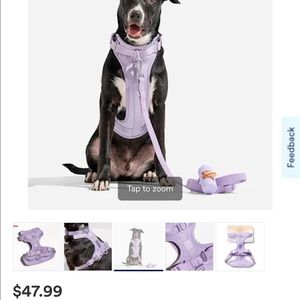 Large Wild One Lilac Dog Harness